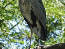 Tiergarten Schönbrunn am 03.10.2025